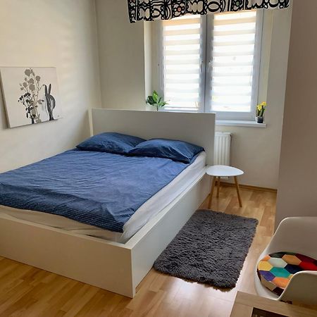 גליביצ'ה Apartament Joanna Parter Blisko Onkologii I Strefy Ekonomicznej מראה חיצוני תמונה