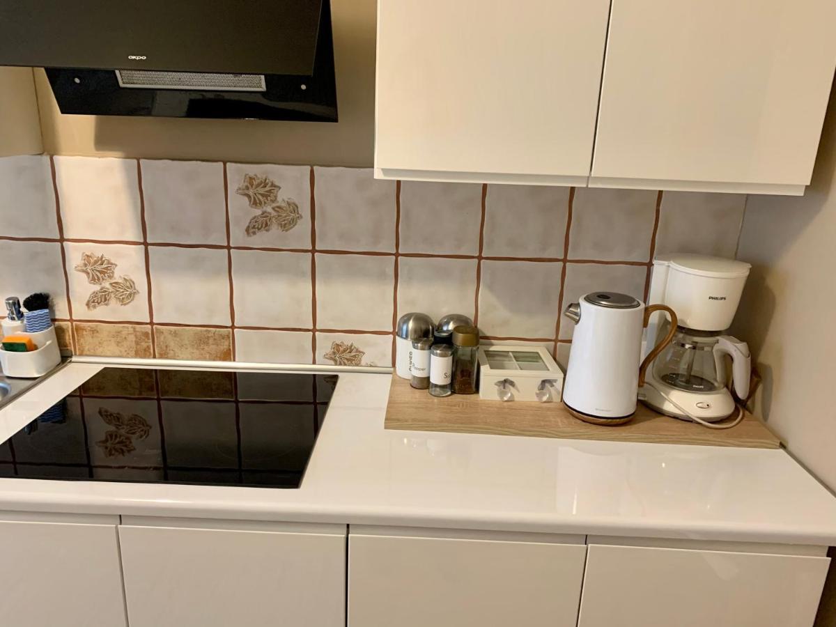 גליביצ'ה Apartament Joanna Parter Blisko Onkologii I Strefy Ekonomicznej מראה חיצוני תמונה