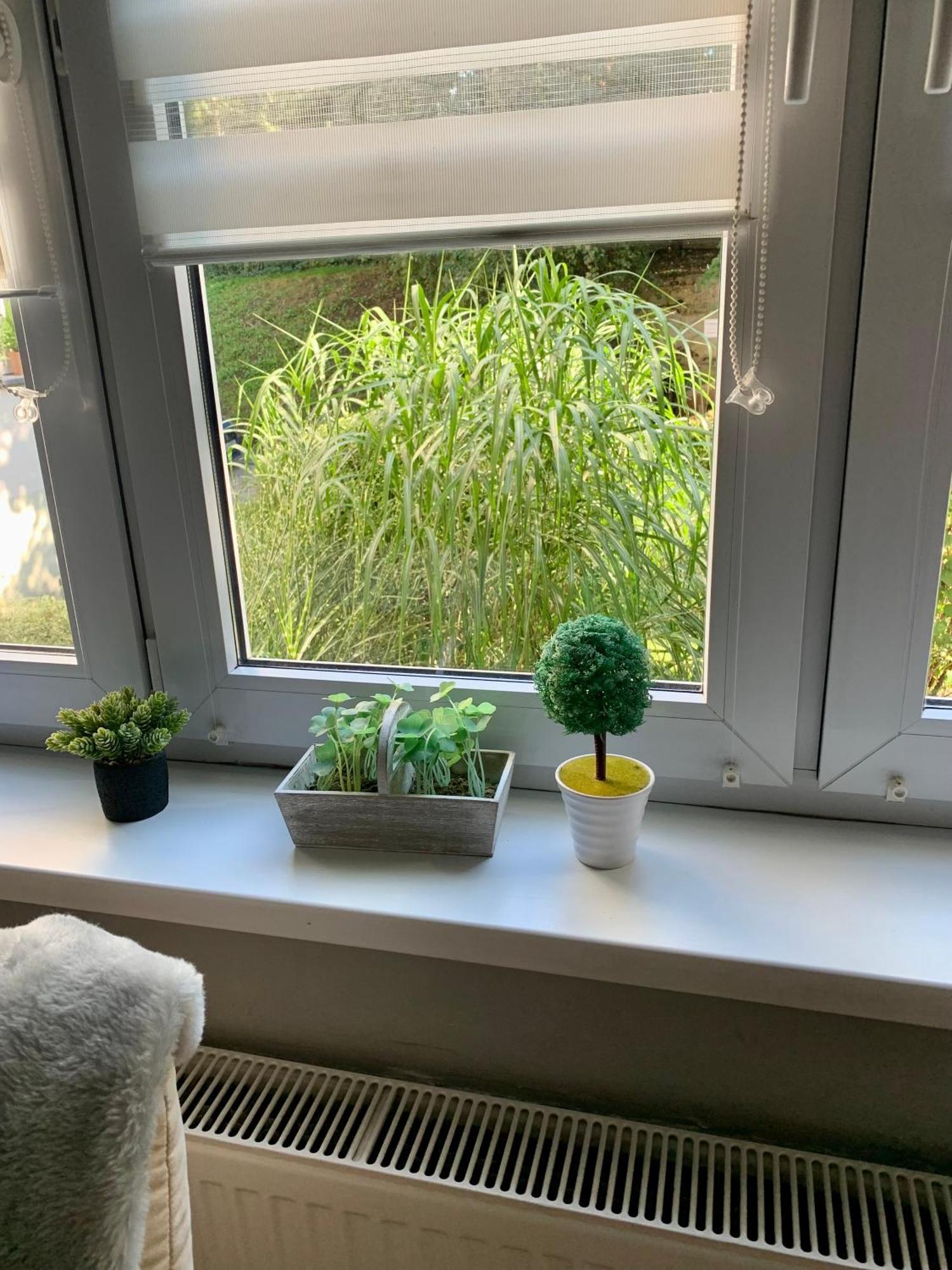 גליביצ'ה Apartament Joanna Parter Blisko Onkologii I Strefy Ekonomicznej מראה חיצוני תמונה
